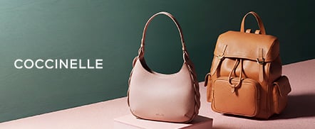 Coccinelle