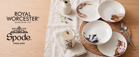 Royal Worcester, Spode Royal Worcester, Spode